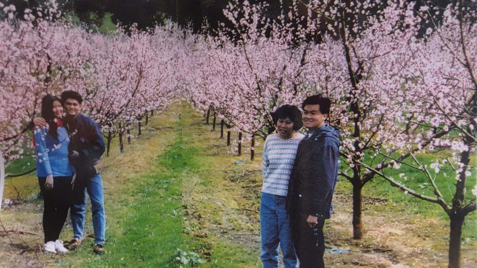 Waitomo Orchard Estate B&B Otorohanga Kültér fotó